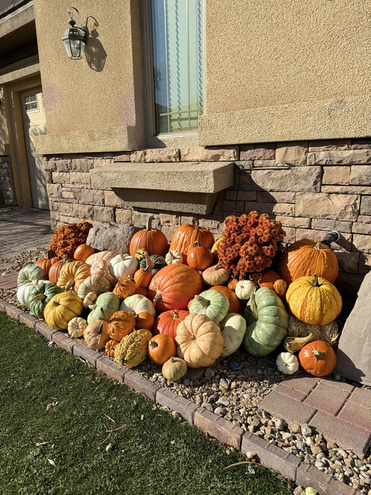 The Harvest King Package