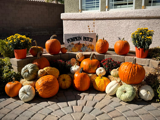 Pumpkin Spice Blend Package