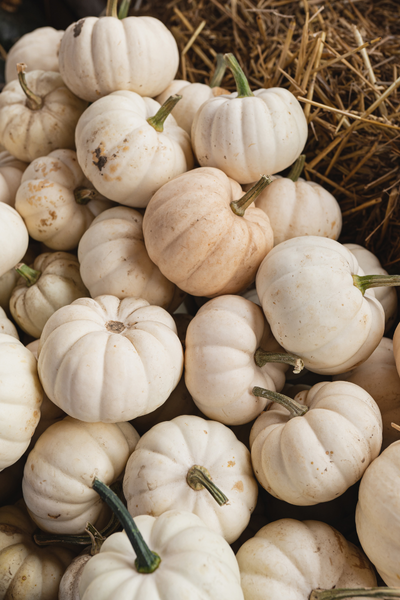 Moonlight Magic Package