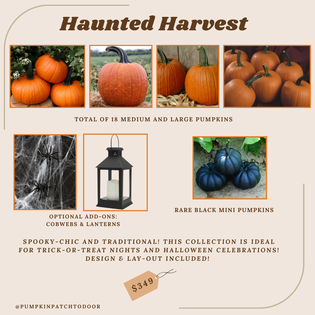 The Haunted Harvest Package