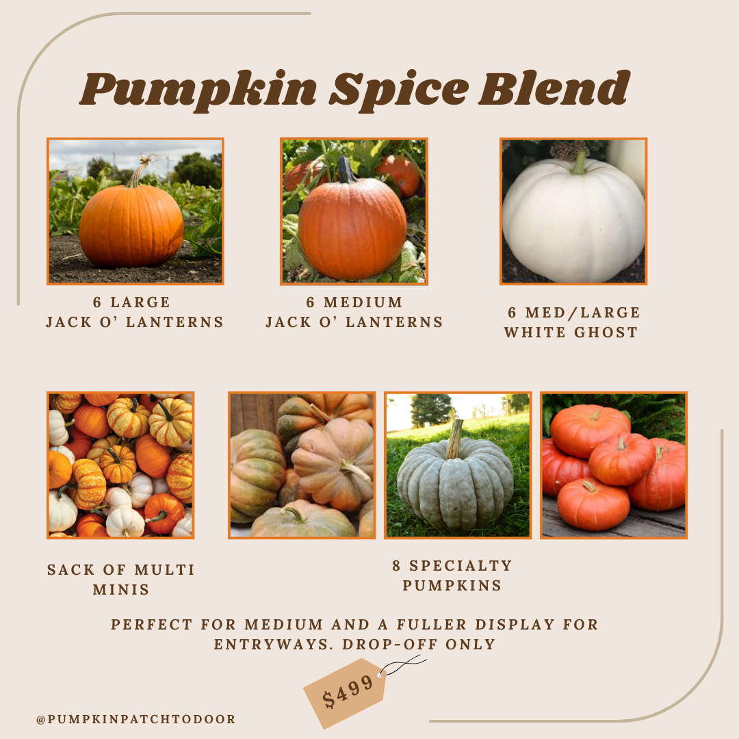Pumpkin Spice Blend Package