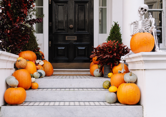 The Fall Sprinkle Package