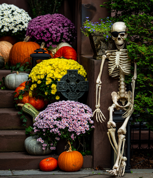 The Haunted Harvest Package