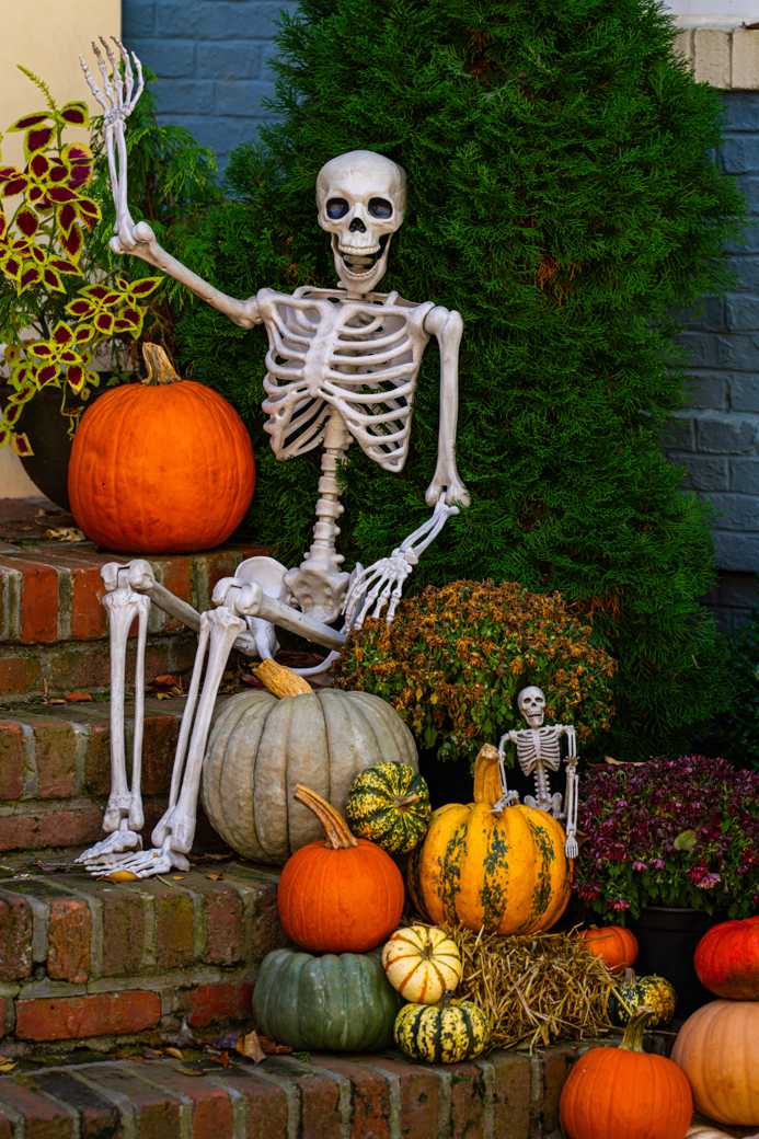 The Haunted Harvest Package
