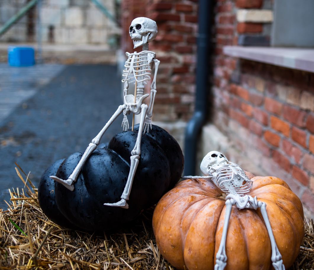 The Haunted Harvest Package