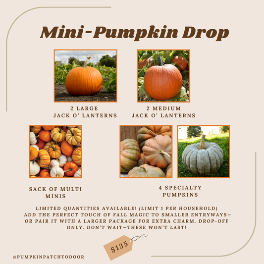 Mini Pumpkin-Drop Package