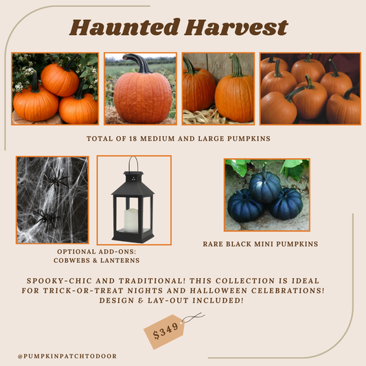 The Haunted Harvest Package