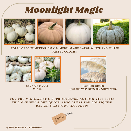 Moonlight Magic Package