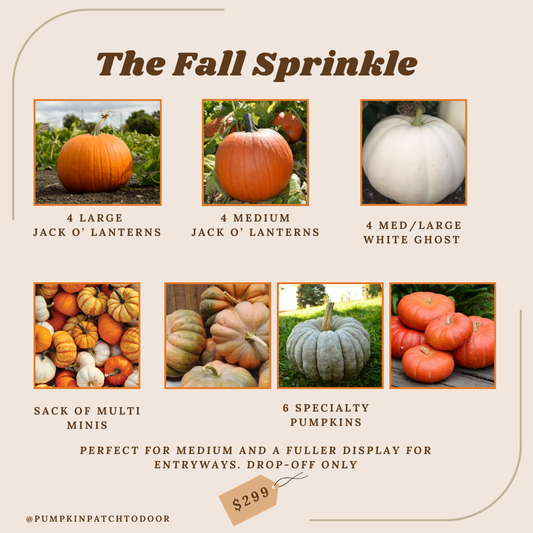 The Fall Sprinkle Package